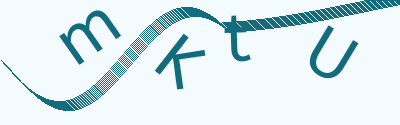 验证码